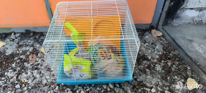 Клетка для грызунов