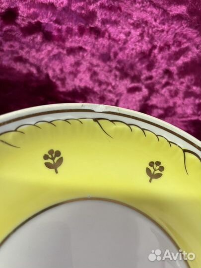 Чайная пара вербилки