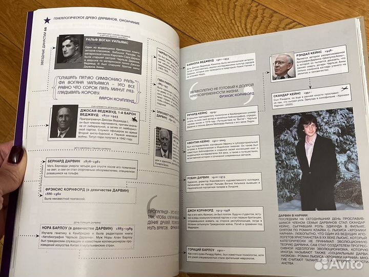 Звездные династии. Вся правда о богатых и знаменит