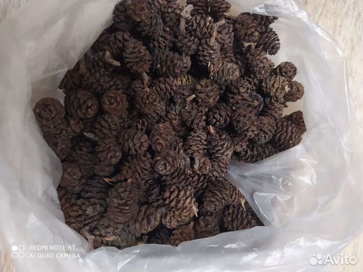 Шишки ольховые