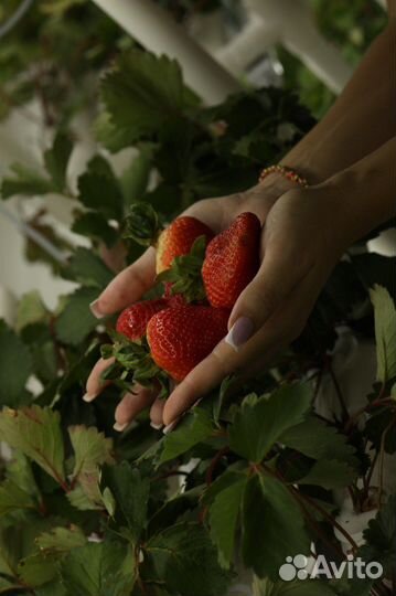 Прибыльный бизнес