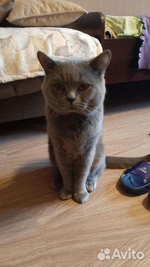 Приглашаем невест на свидание