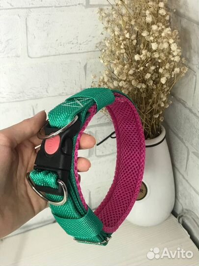 Ошейник для собак