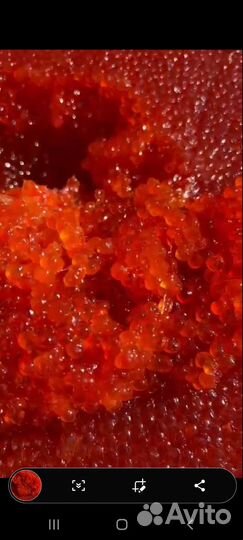 Красная икра Кеты