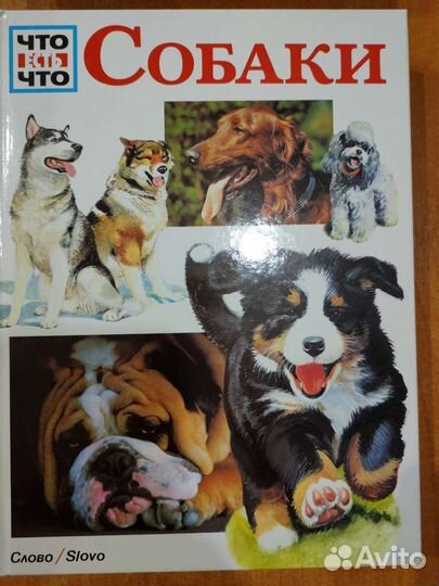 Книги детские/энциклопедии