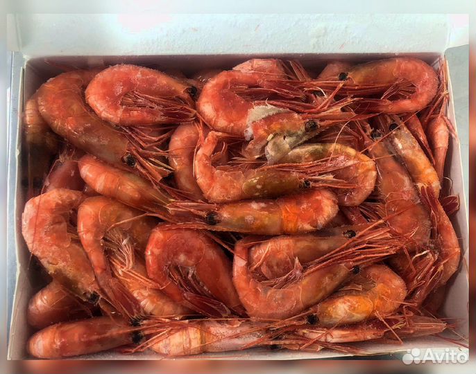 Краб, Креветка, Гребешок