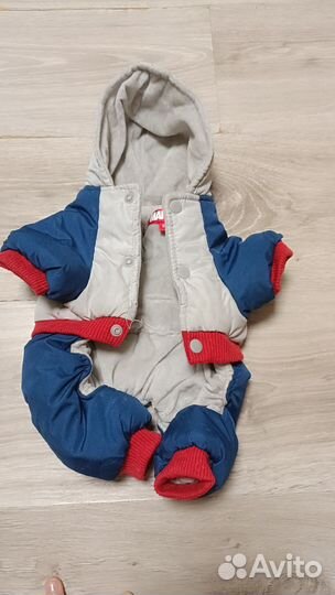 Одежда для собак