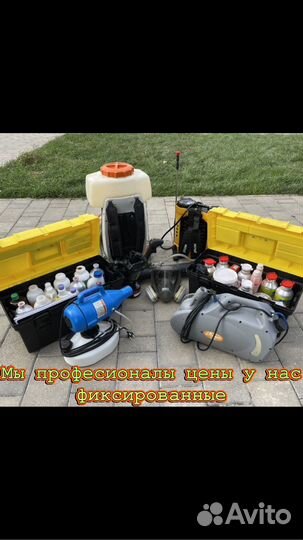 Травля клопов тараканов мышей блох