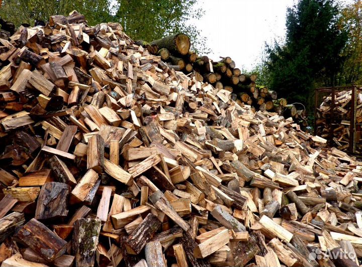 Дрова в Сертолово