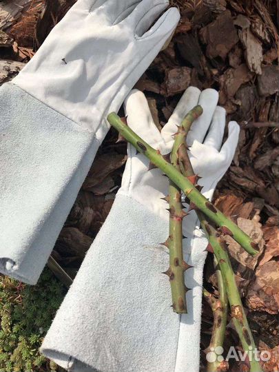 Перчатки Краги для колючих кустарников