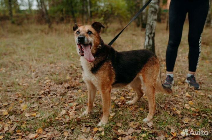 Бруне нужно немного вашего внимания