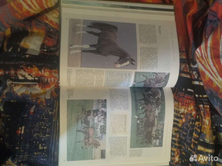 Лошади и уход за нимн, энциклопедия