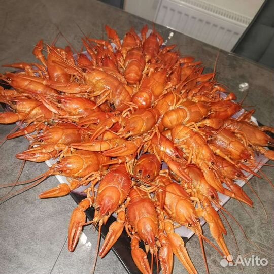 Живые и вареные раки на ул. итр 5а