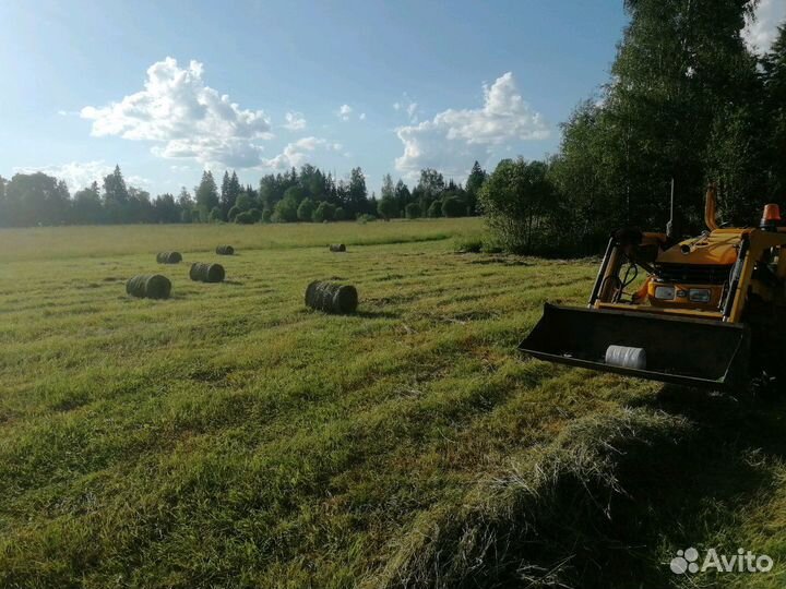 Сено укос 2024 год, тюки по 22-25 кг