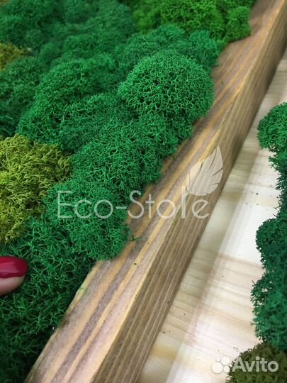 Панно микс мха