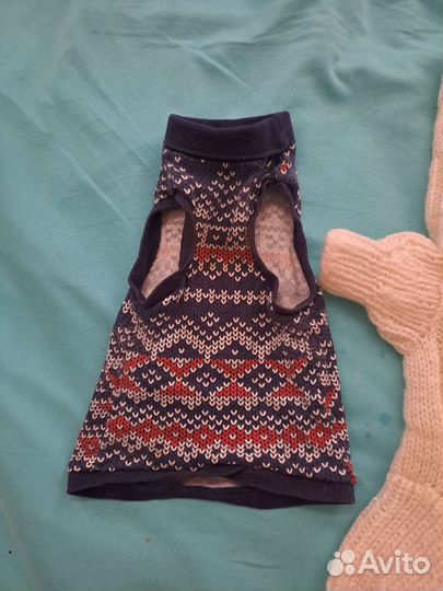 Одежда для кошек