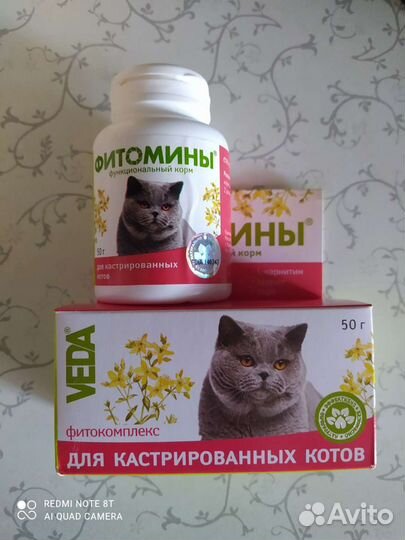 Подгузники и витамины для кошек, лоток