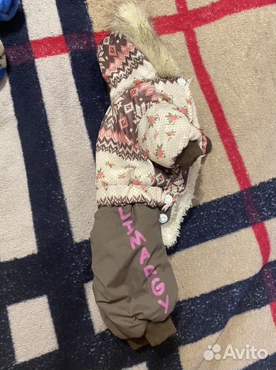 Утеплённый комбинезон для собак мелкой породы