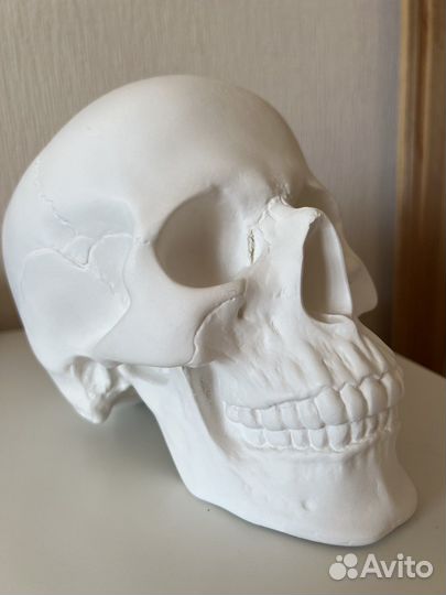 Череп Йорик из гипса