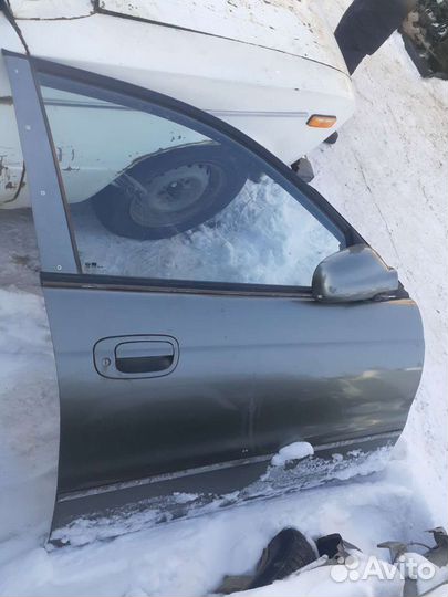 Дверь леганза