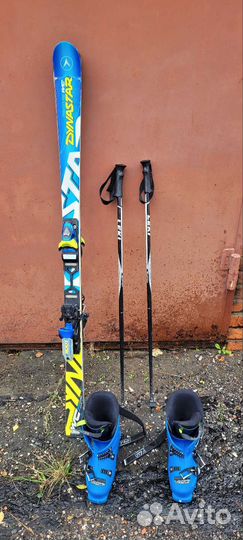 Горные лыжи