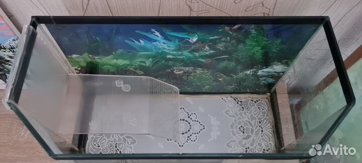 Аквариум для красноухой черепахи