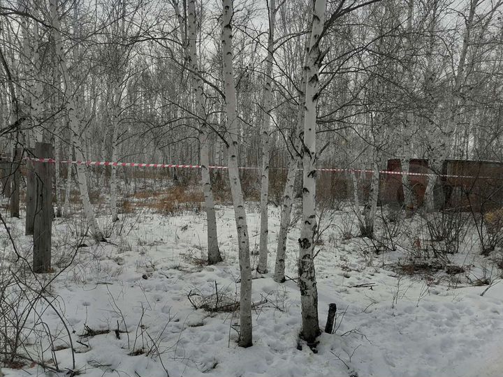 Участок 16 сот. (СНТ, ДНП)