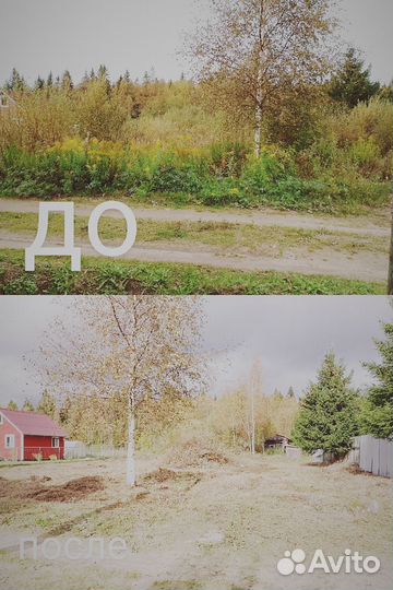 Покос травы