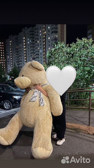 Плюшевый мишка