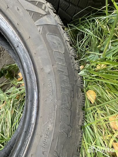 Cordiant Winter Drive 175/65 R14