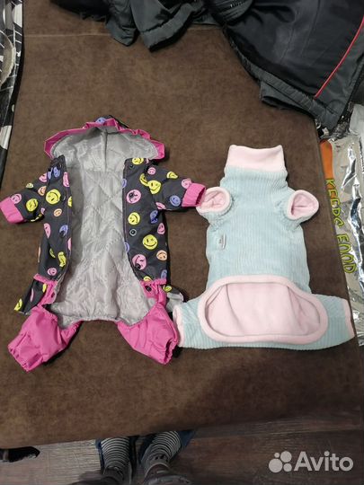 Одежда для маленьких собак и кошек