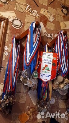 Тренер по бегу, Офп, скандинав. ходьбе