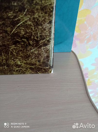 Картина из СССР