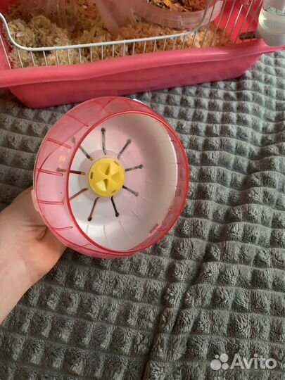 Джунгарский хомяк с клеткой