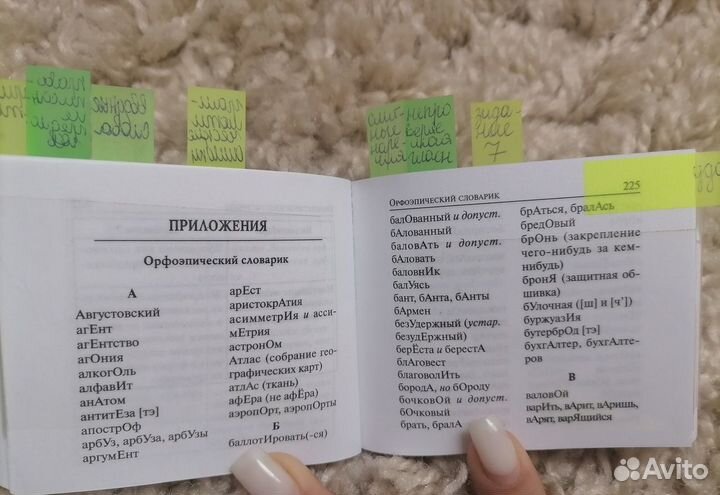 Русский язык карманный справочник 10-11 классы