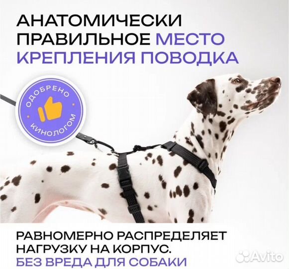 Шлейка для крупной породы собак