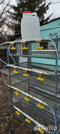 Клетки для перепелов с поддонами для помёта(Новые)