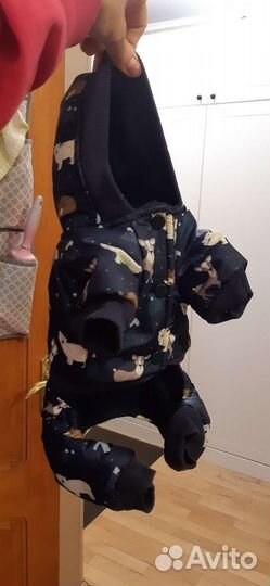 Костюм для маленьких собак