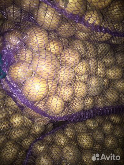 Картофель деревенский