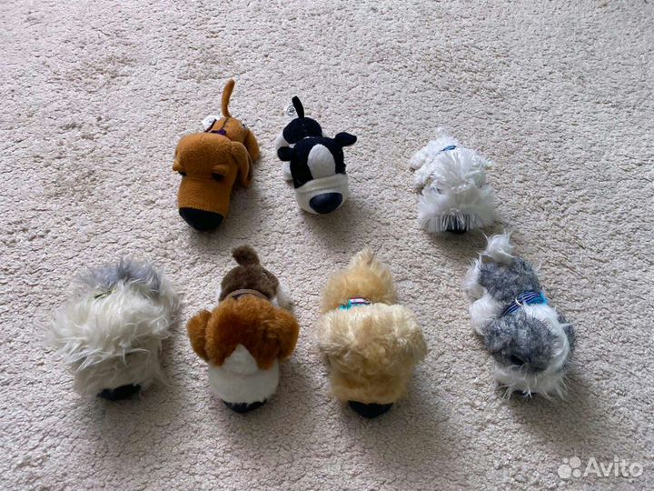The dog collection