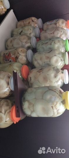 Грибы грузди соленые