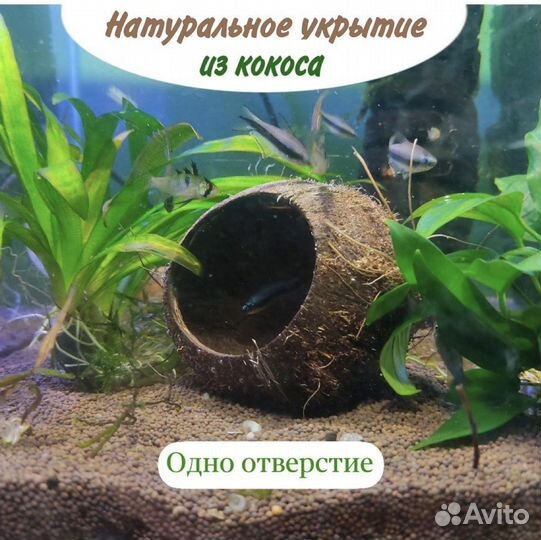 Кокосы в аквариум (декорации в аквариум)
