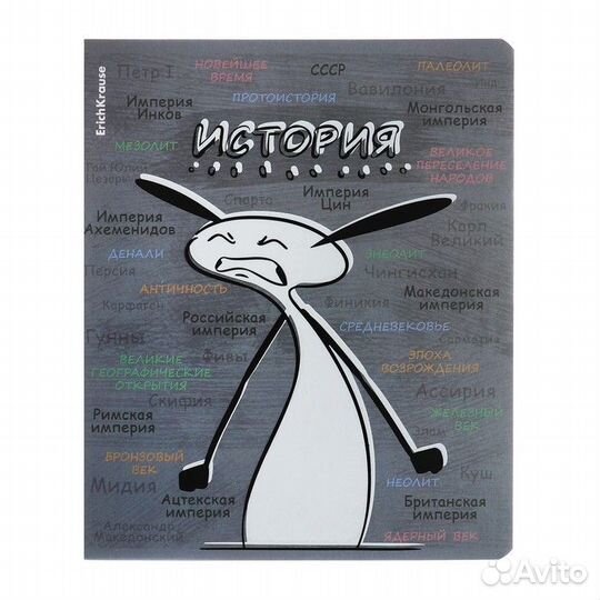 Комплект предметных тетрадей 48 листов, 12 штук, E