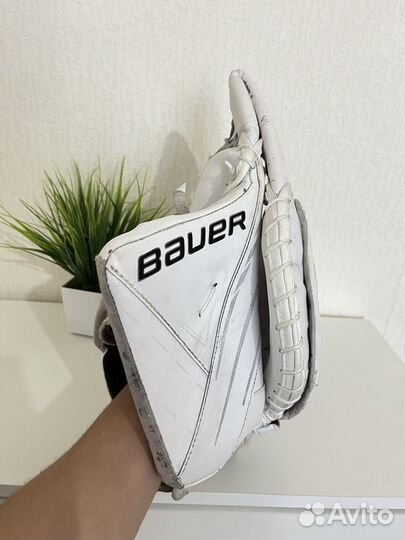 Ловушка Bauer sr