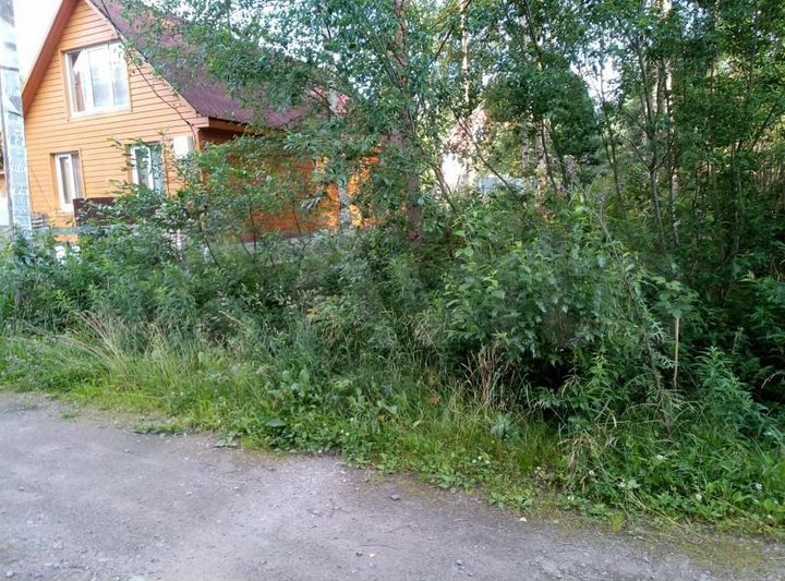 Участок 7,5 сот. (СНТ, ДНП)