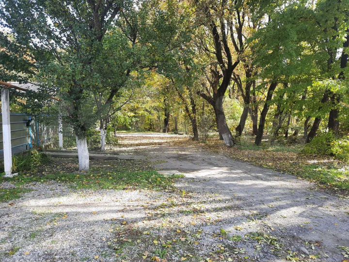 Дом 85,9 м² на участке 8,55 га