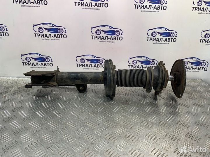 Амортизатор Передний Левый Sorento 2 XM 2010