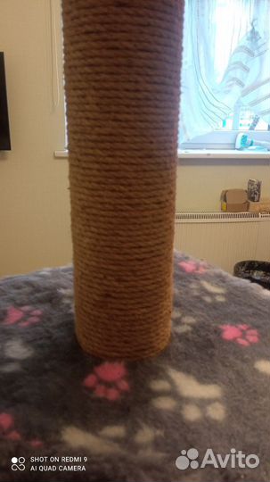 Когтеточка с домиком для кошек. Почти новая