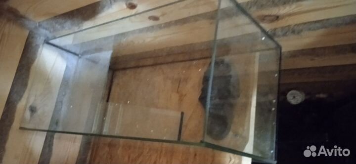 Аквариум для черепахи