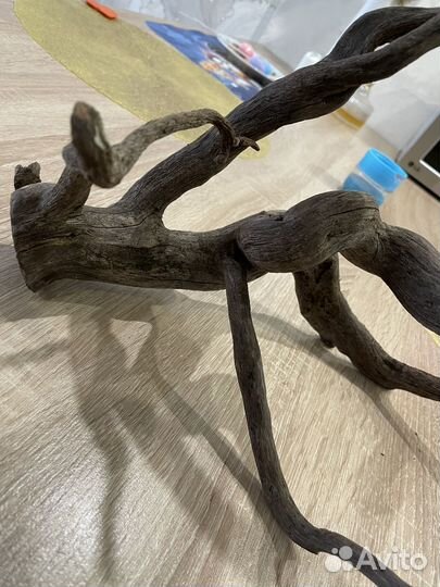 Продам корягу в аквариум